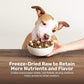 Superfood Nuggets- Premium, Freeze-Dried raw Dog Food Topper or Treat. Powerful Nutrient-Dense Ingredients. No Artificial additives. Duck and Kale Formula 8oz - 4pk Bundle