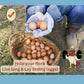 LitChicks’ Calcified Seaweed for Laying Chickens - Crushed Oyster Shell Alternative - Highly Digestible - Single Ingredient - Helps with Egg Laying & Flock Health.