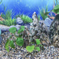 10lbs Aquarium Gravel, 1/8"(2-4mm) Natural River Rocks Succulent Cactus Pea Gravel for Plants, Fish Tank, Decorative Pebbles for Gardening, Flower Pots, Vase Fillers, Landscaping