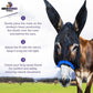 Donkey Fly Mask with Long Ears (Blue) Half Hoodie for Standard Donkey, Made in USA - Mule Fly Mask with Ears Protection from Insects and Bugs, Face Cover Soft Mesh Fabric with Adjustable Fastener