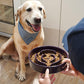LE TAUCI Slow Feeder Dog Bowls Ceramic, 3 Cups Slow Feeding Dog Bowl Medium Large Breed, Pet Bowl for Fast Eaters, Puzzle Pet Dishes, Maze Purple
