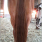 Horse Tail Extensions with Braided Horsehair Loop, Blunt Cut Bottom, 34-36 inches Long and 1 lb Weight (Med Sorrel)