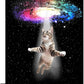 Funny Cat Wall Art Canvas Galaxy Wall Decor Prints Framed Painting Animal Pictures Gifts Artwork for Bathroom Living Dining Kitchen 16"x24"