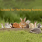 Dandelion Treat - High Fiber Food for Chinchillas, Guinea Pigs & Squirrels - 5 Herbal Blends, 6oz - Rabbit, Hamster & Small Pet Snack