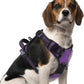 PUPTECK No Pull Dog Harness Medium Sized, Adjustable Reflective Dog Harness with Handle Easy Control, Comfortable Soft Padded Pet Vest Harness for Medium Dogs, Solid Purple M