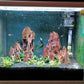 Natural Dragon Rock Carefully Selected Mixed Sizes, Decorative Aquarium Rocks, Aquarium Stones for Fish Tank (4.4lb)