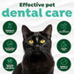 TropiClean Fresh Breath Water Additive for Cats, Cat Teeth Cleaning and Breath Freshener Solution, Complete No Brushing Dental Care, 16 oz.