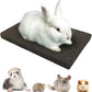 BNOSDM Rabbit Grinding Claw Pads Bunny Scratch Foot Pads Natural Hamster Lava Stone for Teeth Grinding Black Guinea Pig Scratching Board Chew Toy for Ferret Chinchilla Mouse