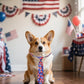 PET SHOW 10 Pack 4th of July Dog Ties Neckties for Large Medium Dogs Adjustable Holiday Grooming Accessories Patriotic Neck Ties Bowties Girl Boy Pets Memorial Day Holiday Party Costumes