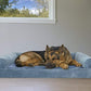 Furhaven Orthopedic Dog Bed for Large Dogs w/ Removable Bolsters & Washable Cover, For Dogs Up to 95 lbs - Faux Fur & Velvet Sofa - Harbor Blue, Jumbo/XL