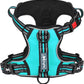 PoyPet No Pull Dog Harness, No Choke Front Clip Reflective Dog Vest with Soft Padded Vertical Handle, 3 Leash Attachments for Small Medium Large Dogs (Mint Blue,L)