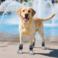 PUPTECK Non-Slip Dog Socks to Prevent Licking Paws, Double Sides Dog Boots & Paw Protectors Booties on Hardwood Floors Hot Pavement with Grippers, for Small Medium Large Senior Dogs, Navy Blue L