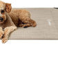 Veehoo Original Elevated Dog Bed - Outdoor Raised Cot for Small Dogs, One-Sided Raised Headboard Cooling Pet Sleeping Training Cot, Non-Slip & Breathable, M, CWC2417A