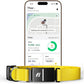 New Fi Series 3+ Smart Dog Tracker Collar – AI GPS for Dogs, Health & Behavior Monitor, Virtual Fence, Escape Alerts, Waterproof, Apple Watch Compatible 12Mo Membership Included