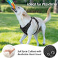 No Pull Dog Harness, Puppy Vest with Front Clip for Small Medium Large Sized Dog(Black,M)