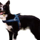 DOCO No-Pull Dog Harness Halter Reflective Easy-Control Harness for Training, Walking, and Preventing Pulling, Ideal for Small Dogs(Navy Blue)