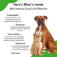 Pet Wellbeing Immune Sure for Dogs - Supports Normal Immune Defenses, Gut Flora Balance, Andrographis, Echinacea, Vitamin C, Zinc - Veterinarian-Formulated Herbal Supplement 4 oz (118 ml)