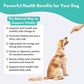ALFIE'S TREATOS Salmon Skin Treats for Dogs & Cats (2.65 oz), Air-Dried Fish Skin Dog Treats, Omega-3 Food Topper & Training, Single Ingredient, Freeze-Dried Alternative