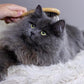 Premium Bamboo Cat Grooming Kit: Cat Brushes for Indoor Cats, Kitten Brush, and Dematting Comb for Long Haired Cats | Bamboo Grooming Supplies with kitten brush
