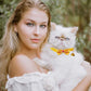 16 PCS Cute Cat Collars with Bells - Breakaway Collars for Girls & Small Kittens - Pink, Bowtie Design - Kitten Supplies