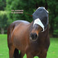 T TEKE Fine Mesh Horse Fly Mask w/No Ears, UV Blocking 3D Eye Visor with Extra Fleece Cushioned Forehead, Protection from Insect Pests