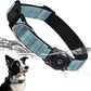 Upgraded AirTag Dog Collar, IP68 Waterproof Air Tag Dog Collar Holder, Reflective, Ultra-Durable, Comfortable Padded, Heavy Duty Dog Collars for Small Medium Large Dogs (S (10.6"-13.6"), LightBlue)