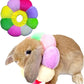 Rabbit Cat Cone Collar Soft,Adjustable Cat Recovery Wound Healing Accessory,Cats Cones to Stop Licking,for Chinchilla,Guinea Pigs,Bunny,Kitten Donuts Collar After Surgery(X-Small)