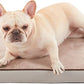Orthopedic Memory Foam Dog Bed, Cooling Dog Beds for Medium/Large Dogs -Waterproof Pet Bed for Crate with Removable Washable Cover (M(29inch,45Lbs))