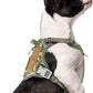 BUMBIN Tactical Dog Harness for Small Dogs No Pull, Famous TIK Tok No Pull Puppy Harness, Fit Smart Reflective Pet Walking Harness for Training, Adjustable Dog Vest Harness with Handle Forest Camo S