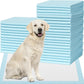 IMMCUTE Puppy Pee Pads 30x28 Inch, 50 Count - Extra Large Super Absorbent Puppy Training Pads with Double Leak-Proof Layer, Thick Disposable Potty Pads for Dogs & Pets Indoor & 0utdoor Use
