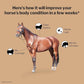 Formula 707 Weight Gain Equine Supplement, Daily Fresh Packs, 28 Day Supply - Palatable, Calorie-Rich Nutritional Support for Hard-to-Keep and Senior Horses