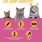 Special Breed Cat Joint Supplement, Liquid Glucosamine with Chondroitin for Cats, Feline Hip and Joint Pain Relief, 2 oz