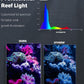 Pawfly 18W Saltwater Aquarium Light for 18" to 24" Fish Tanks Dimmable LED Reef Light for Coral Extendable Marine Fish Tank Light with Full Spectrum D/N Mode Timer Auto On/Off Adjustable Brightness