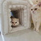 Storage Bench Pet Supplies Corduroy Bench Cat's nest to Hide for The Living Room, Entryway and Bedroom (Beige)