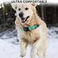 Upgraded AirTag Dog Collar, IP68 Waterproof Air Tag Dog Collar Holder, Reflective, Ultra-Durable, Comfortable Padded, Heavy Duty Dog Collars for Small Medium Large Dogs (Aqua, S)