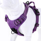 Truelove No Pull Dog Harness with Easy Control Handle and 2 Leash Attachments,Reflective Adjustable Pet Vest