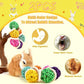 2 Pcs Natural Grass Chew Balls for Rabbits, Chinchillas, Hamsters & Mice - Safe Dental Health Toys for Teeth Grinding, Chewing & Dental Care, Small Animal Enrichment Chew Toys