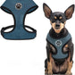 BINGPET Small Dog Harness - Breathable Mesh Puppy Cat Harnesses - No Pull Adjustable Dog Harness Dog Vest Harness for Small and Medium Dogs