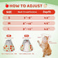 Cat Cone Collar Soft to Stop Licking, Adjustable, Foldable Lightweight Kitten Cones After Surgery Recovery for Cats & Kittens, Cat Cone Alternative (AppleRed, M)