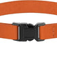 Breakaway Cat Collar Leather with Removable Bell - 13 Colors Available - Soft Adjustable Girl Boy Safety Lightweight Pet Kitten Collars Pink Brown Blue Green Red Orange Black (Orange)