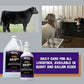 Weaver Leather Livestock Winner's Brand Pro Hair100 Shampoo, 1 Gallon