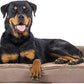 Furhaven Orthopedic Dog Bed for Large Dogs w/ Removable Bolsters & Washable Cover, For Dogs Up to 95 lbs - Plush & Suede Sofa - Almondine, Jumbo/XL