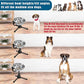 2 Pack Elevated Bowls With Adjustable Metal Stand, Medium Size for Dogs 30-70 lbs, 0.5 Gal 2 Liter, Stainless Steel Food Water Bowl, Height Adjustable Non-Slip Raised Set