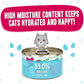 Weruva B.F.F. Play - Best Feline Friend Paté Lovers, Aw Yeah!, Duck & Tuna Trickster with Duck & Tuna, 2.8oz Can (Pack of 12)