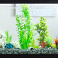 Halatool 2.2LB Natural Green Agate Stones for Aquarium Gravel & Fish Tank 0.35-0.6 Inch Decorative Pebbles for Succulent Rocks DIY Landscaping Indoor Plants Vase Fillers
