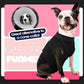 FUAMEY Dog Recovery Suit Male,Dogs Surgery Neuter Suits Puppy Spay Shirts for Female Protect Dog's Skin Anti Licking Abdominal Wounds Doggie Onesie Pet Bodysuit Alternative to Cone Black L