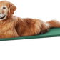 Amazon Basics Cooling Breathable Elevated Dog Bed with Metal Frame for Large Dogs, 51 x 31 x 8 Inch, Green