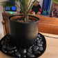 20 lbs Black Pebbles for Plants, 0.8-1.2 inch River Rocks for Landscaping, Decorative Stones for Vase Fillers, Fish Tank Gravel and Garden Rocks