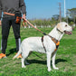 TRUE LOVE Truelove Adjustable No-Pull Dog Harness Reflective Pup Vest Harnesses Comfortable Control Brilliant Colors TLH5651(Orange,L)