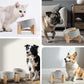 SPUNKYJUNKY 15° Slanted Ceramic Dog and Cat Bowl with Wooden Stand, Tilted Bulldog Food and Water Bowl No Slip Non-Spill for Cats Medium Dogs Big Face Pets 13.5 OZ (1.7 Cups, Grey × 2)